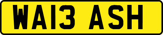 WA13ASH