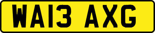 WA13AXG