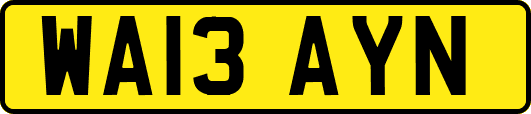 WA13AYN
