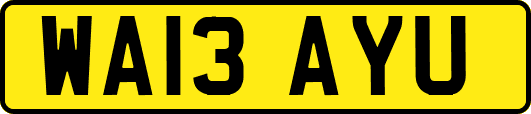 WA13AYU