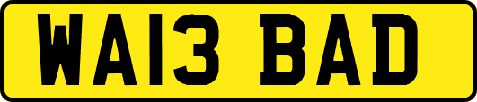 WA13BAD