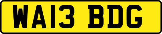 WA13BDG