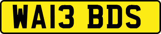 WA13BDS