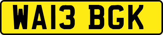 WA13BGK
