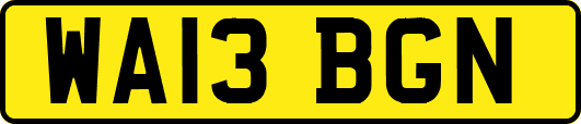 WA13BGN