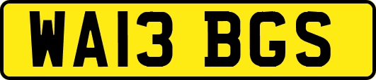 WA13BGS