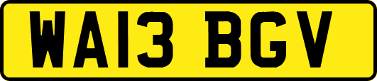 WA13BGV