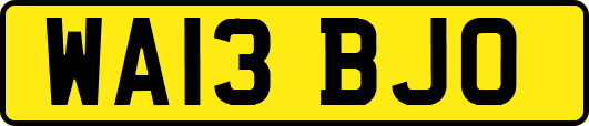 WA13BJO