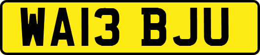 WA13BJU