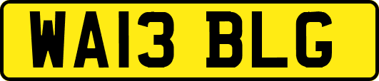 WA13BLG