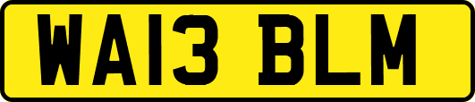 WA13BLM