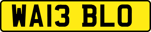 WA13BLO