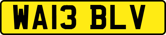 WA13BLV