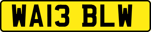 WA13BLW