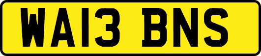 WA13BNS