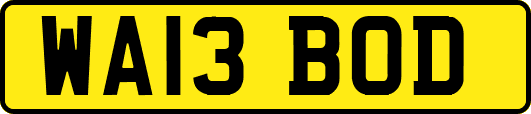 WA13BOD