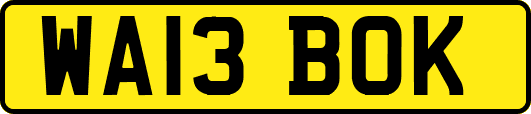 WA13BOK