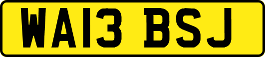 WA13BSJ