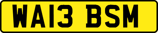 WA13BSM
