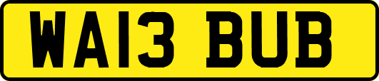 WA13BUB