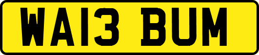 WA13BUM