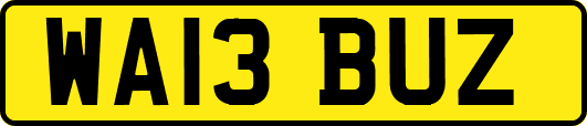 WA13BUZ