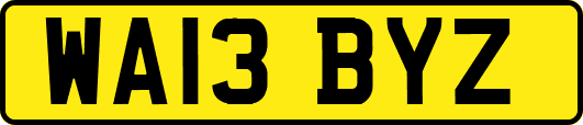 WA13BYZ