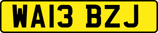 WA13BZJ