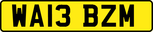 WA13BZM