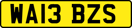 WA13BZS