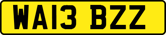 WA13BZZ