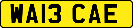 WA13CAE