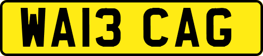 WA13CAG