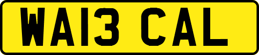 WA13CAL