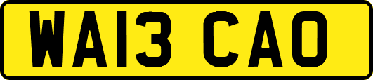 WA13CAO
