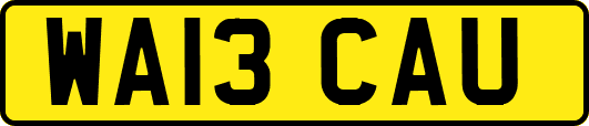 WA13CAU