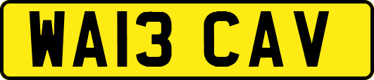 WA13CAV