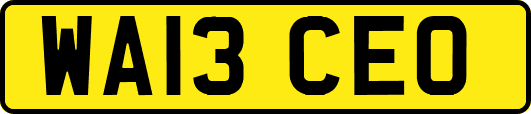 WA13CEO