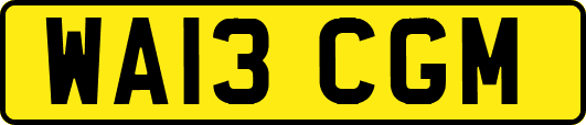 WA13CGM