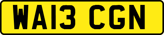 WA13CGN
