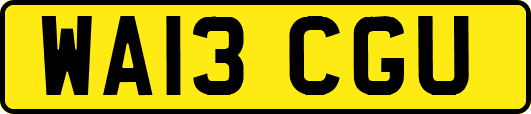 WA13CGU