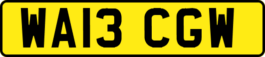 WA13CGW