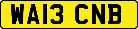 WA13CNB