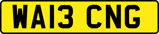 WA13CNG