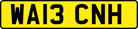 WA13CNH