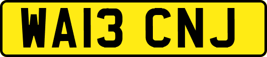 WA13CNJ