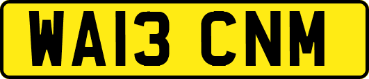 WA13CNM