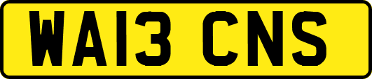 WA13CNS