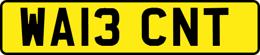 WA13CNT