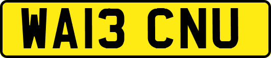 WA13CNU